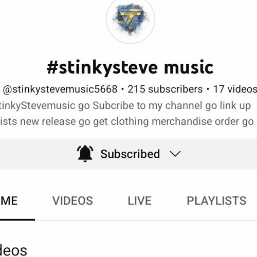 @stinkystevemusic’s avatar