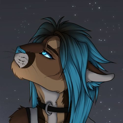 DubstepWolf’s avatar