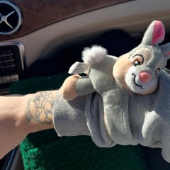 Fluffy like Bunny