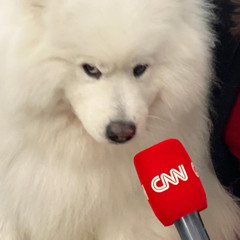 oliwia