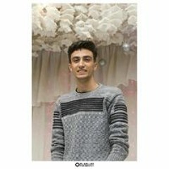 Fares Elsayed