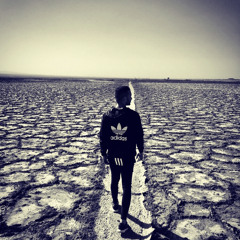 abbas Hamedi