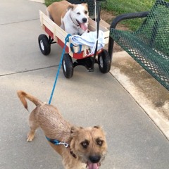 Lucas’ Garage Noise