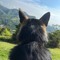 eldoggie