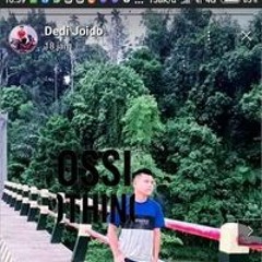 Dedi Joido