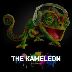 DJ Set Kameleon Disco Funk