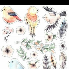 birdy birds