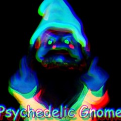 Psychedelic Gnomes
