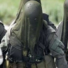 Frogmen army