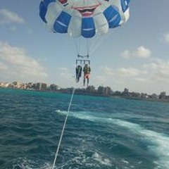 دعآ أبو وردة