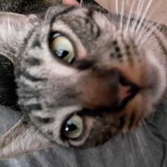 lola