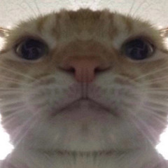ricecake