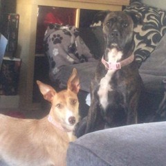 carol Parker Fletcher