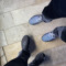 Rashed
