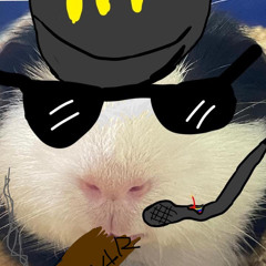 guinea rizz
