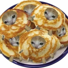 panino