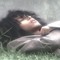 SSCultMember.mp3