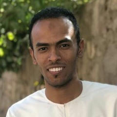 احمد عبدالهادى
