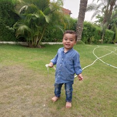 علاء علواني