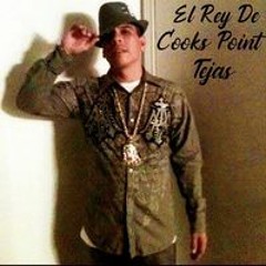 El Rey De Cooks Point Tejas