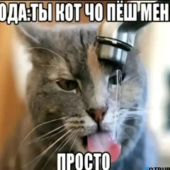 ⚜️гниль⚜️