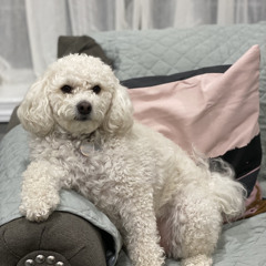 Eidel Stephanie Dela Paz❤