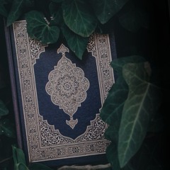 سور كاملة الشيخ عمرو الشرقاوي