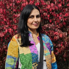 solmaz asldini