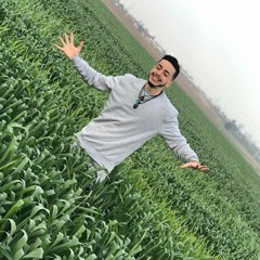 adiel_ivgi_