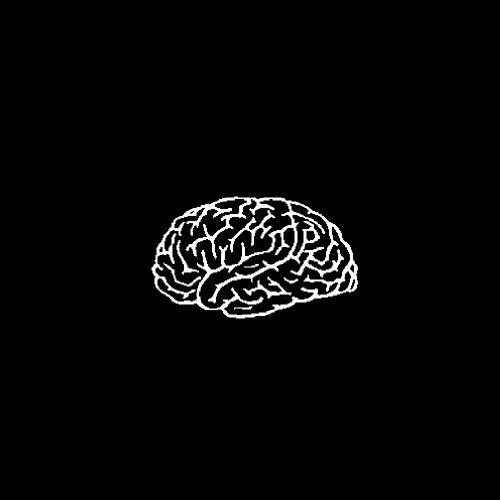Brain Enterprise’s avatar