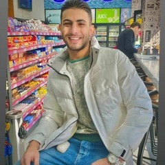 Ahmed Elfakharany 4