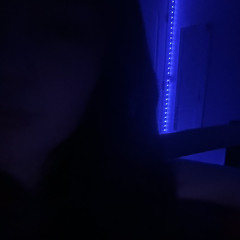 HaylieX
