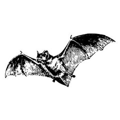 vampcast - histórias do terror