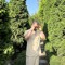 shayan