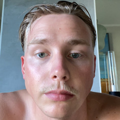 LordViberg