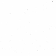 No Bio Yet