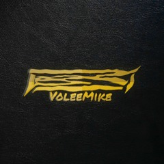 VoleeMike