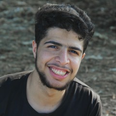 Hossam Elazouny