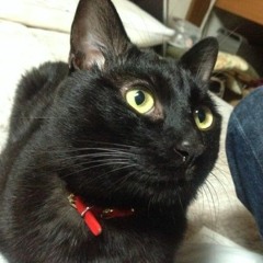 Syo.D(@knmusicstudio)