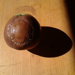 bottlehider demos 3 PEACEKEEPER