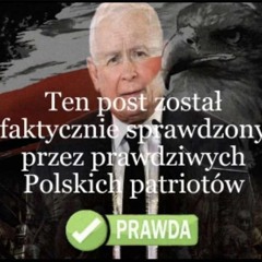 prawdziwy post faktyczny
