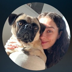 blaze_animator