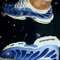 SKXPZ_ONE