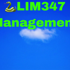 Slim347 Management