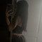 iLoveGsm