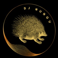 DJ NUNGU
