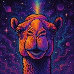 Camel Light