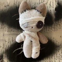 ੈ✩‧₊˚ ˚ ༘♡ ⋆｡˚