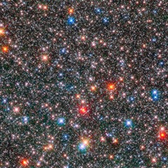 The Vegetable Kingdom™