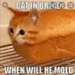 MEOW